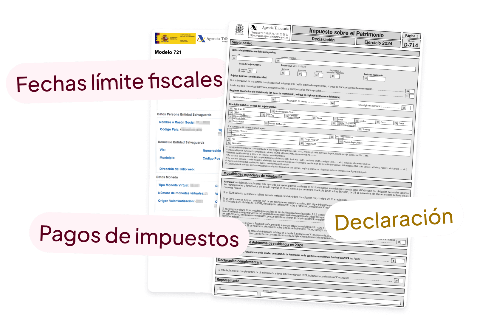 Fiscal-declaration - ES - no background