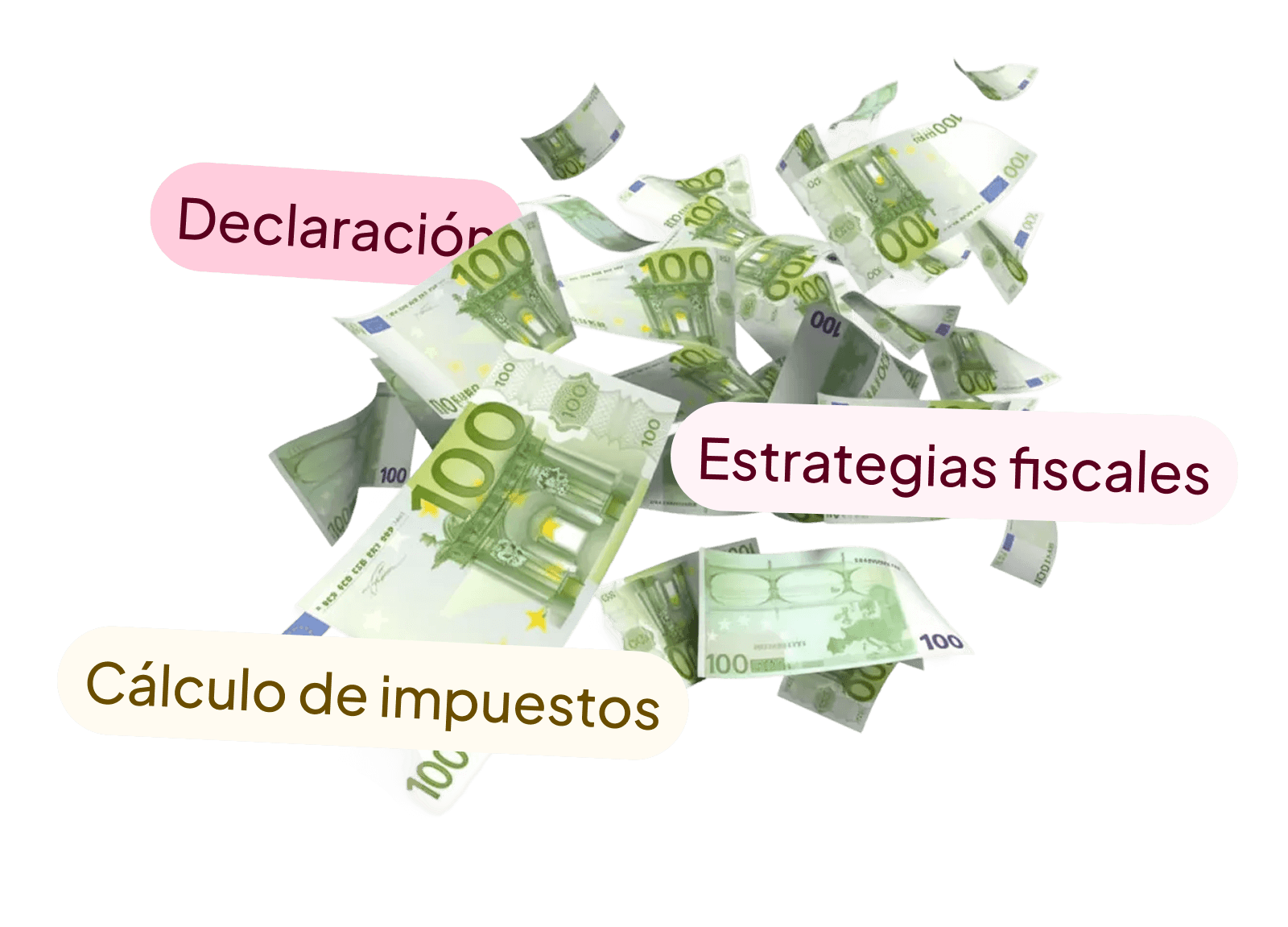 tax-calculation - ES - no background